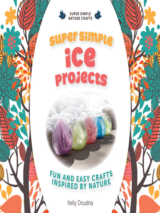 Title details for Super Simple Ice Projects by Kelly Doudna - Available
